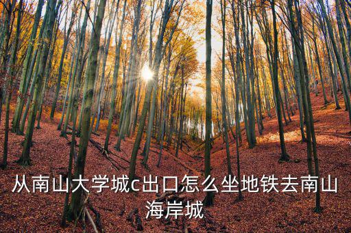 從南山大學(xué)城c出口怎么坐地鐵去南山海岸城
