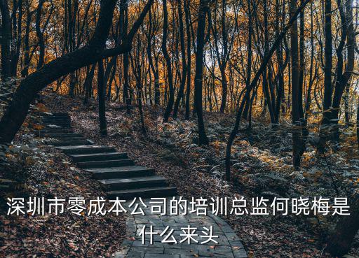 深圳市零成本公司的培訓總監何曉梅是什么來頭