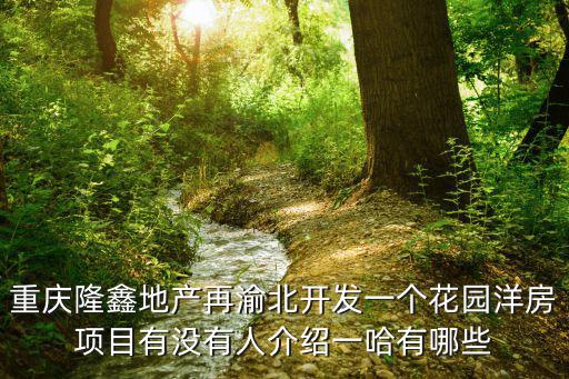 重慶隆鑫地產(chǎn)再渝北開發(fā)一個(gè)花園洋房項(xiàng)目有沒有人介紹一哈有哪些