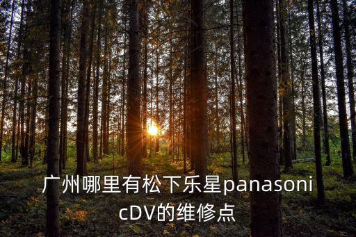 廣州哪里有松下樂星panasonicDV的維修點