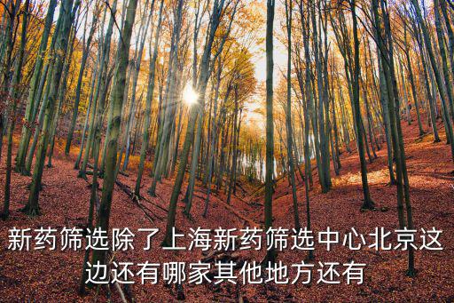 上海市新藥安評中心，新藥篩選除了上海新藥篩選中心北京這邊還有哪家其他地方還有