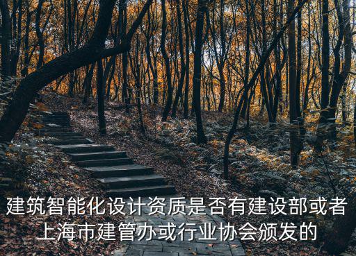 建筑智能化設(shè)計資質(zhì)是否有建設(shè)部或者上海市建管辦或行業(yè)協(xié)會頒發(fā)的