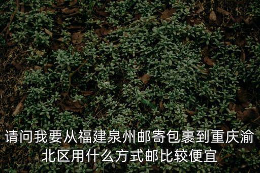 重慶市渝北石坪鎮巨邦物流，重慶渝北區可以補辦身份證嘛