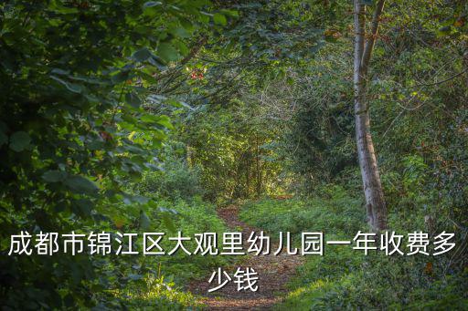成都市錦江區大觀里幼兒園一年收費多少錢