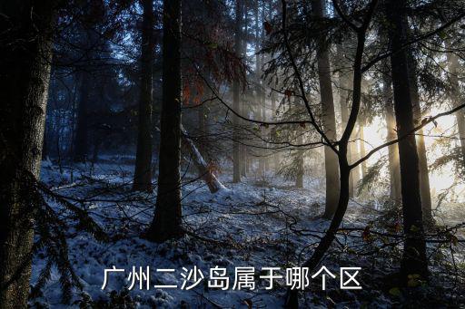 廣州二沙島屬于哪個區