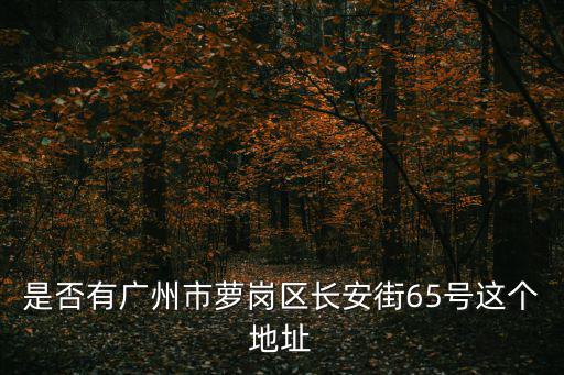是否有廣州市蘿崗區(qū)長安街65號這個地址