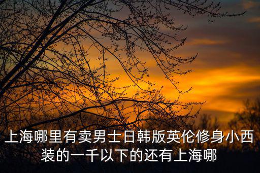 上海哪里有賣男士日韓版英倫修身小西裝的一千以下的還有上海哪