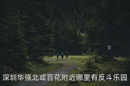 深圳華強北或百花附近哪里有反斗樂園