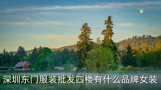 深圳東門服裝批發四樓有什么品牌女裝