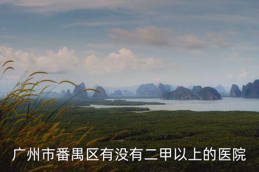 廣州市番禺區有沒有二甲以上的醫院