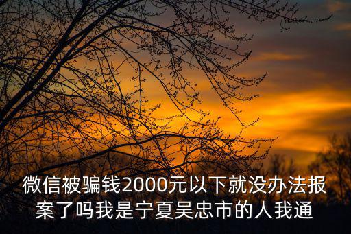 微信被騙錢2000元以下就沒辦法報(bào)案了嗎我是寧夏吳忠市的人我通