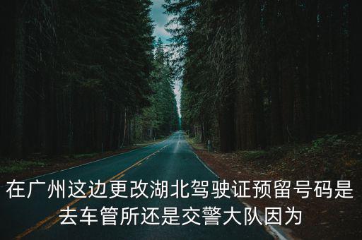 在廣州這邊更改湖北駕駛證預(yù)留號碼是去車管所還是交警大隊因為