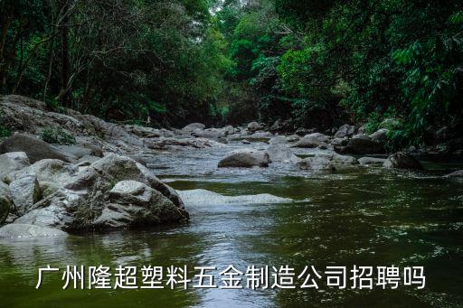 廣州隆超塑料五金制造公司招聘嗎