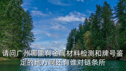 請問廣州哪里有金屬材料檢測和牌號鑒定的地方啊還有誰對鏈條所