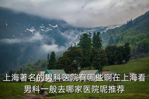 上海著名的男科醫院有哪些啊在上海看男科一般去哪家醫院呢推薦