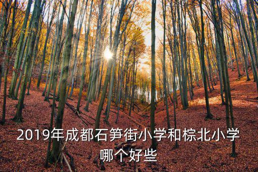 2019年成都石筍街小學和棕北小學哪個好些