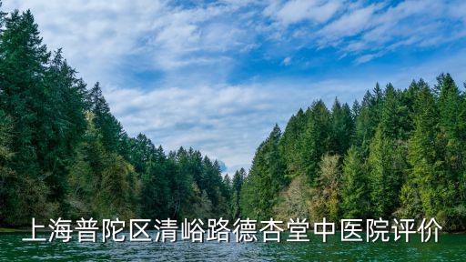 上海普陀區清峪路德杏堂中醫院評價