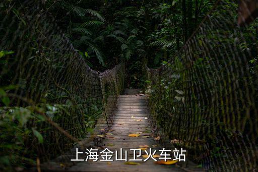 上海金山衛(wèi)火車站