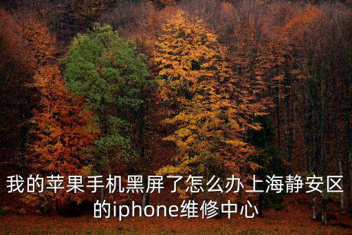 我的蘋果手機黑屏了怎么辦上海靜安區的iphone維修中心