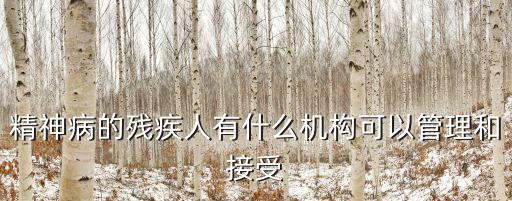 精神病的殘疾人有什么機構可以管理和接受