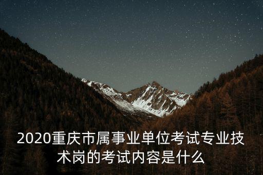 2020重慶市屬事業單位考試專業技術崗的考試內容是什么