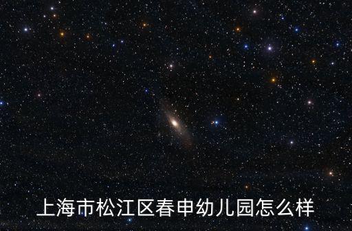 上海市松江區公辦幼托班有幾家，上海市松江區春申幼兒園怎么樣