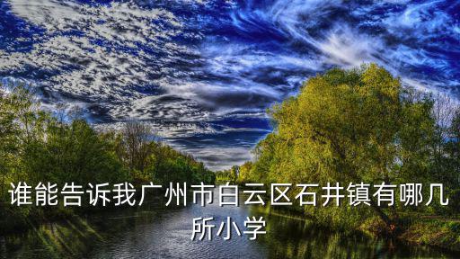 誰能告訴我廣州市白云區石井鎮有哪幾所小學