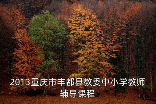 重慶市教委課程計劃文件，重慶市教委在哪