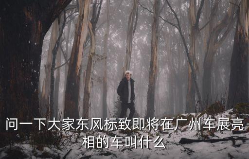 問一下大家東風標致即將在廣州車展亮相的車叫什么
