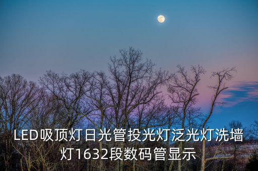 LED吸頂燈日光管投光燈泛光燈洗墻燈1632段數(shù)碼管顯示