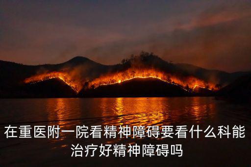 重慶市重醫附一院精神科，在重醫附一院看精神障礙要看什么科能 治療好精神障礙嗎