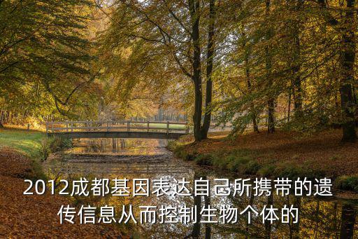 成都市非遺傳承人官網(wǎng)，云朵艾楊非遺的傳承人是誰