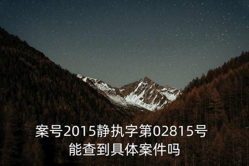 案號(hào)2015靜執(zhí)字第02815號(hào) 能查到具體案件嗎