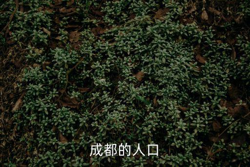 成都的人口