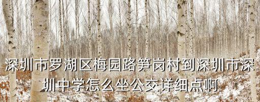 羅湖區(qū)筍崗村到深圳東站的公交車，深圳市羅湖區(qū)梅園路筍崗村到深圳市深圳中學(xué)怎么坐公交詳細(xì)點(diǎn)啊