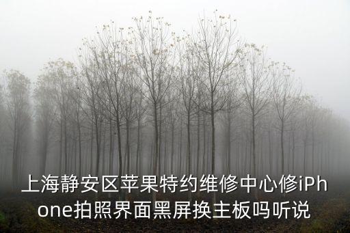 上海靜安區蘋果特約維修中心修iPhone拍照界面黑屏換主板嗎聽說