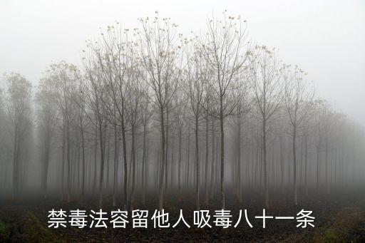 禁毒法容留他人吸毒八十一條