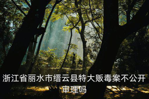浙江省麗水市縉云縣特大販毒案不公開審理嗎