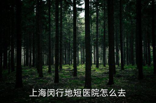 上海閔行地短醫院怎么去