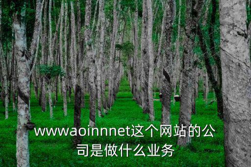 wwwaoinnnet這個網站的公司是做什么業務