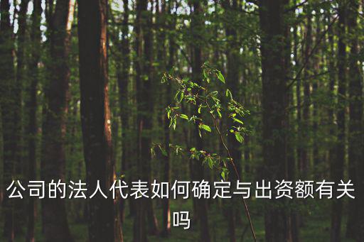 公司的法人代表如何確定與出資額有關嗎