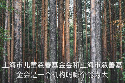 上海市兒童慈善基金會和上海市慈善基金會是一個機構嗎哪個能為大
