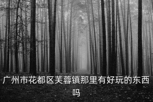 廣州市花都區芙蓉鎮那里有好玩的東西嗎