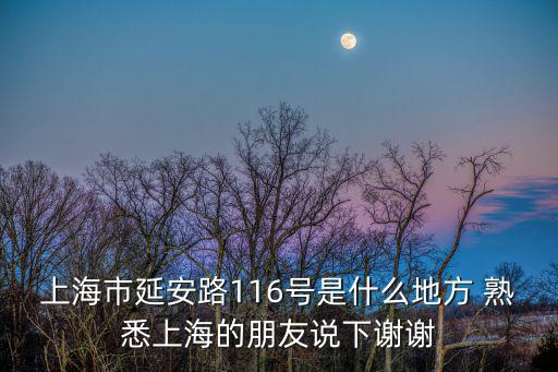 上海市延安路116號是什么地方 熟悉上海的朋友說下謝謝