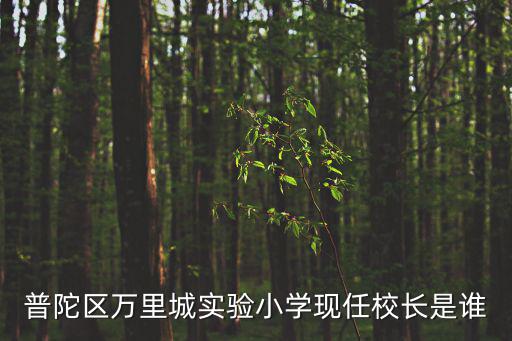 普陀區萬里城實驗小學現任校長是誰
