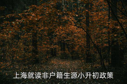 上海就讀非戶籍生源小升初政策