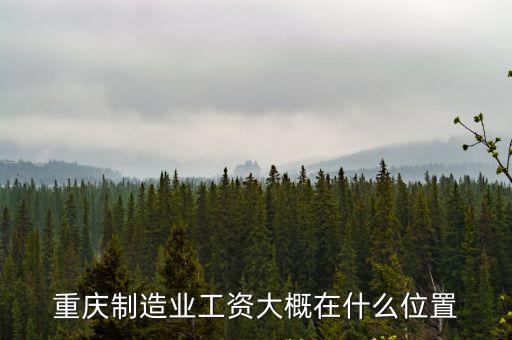 重慶制造業(yè)工資大概在什么位置