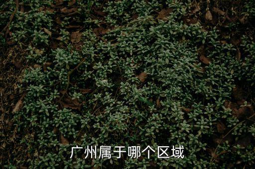 廣州屬于哪個區域