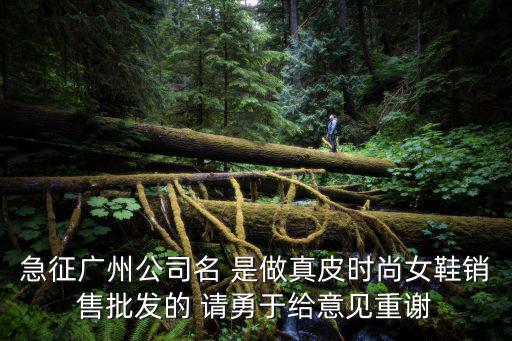 急征廣州公司名 是做真皮時尚女鞋銷售批發的 請勇于給意見重謝