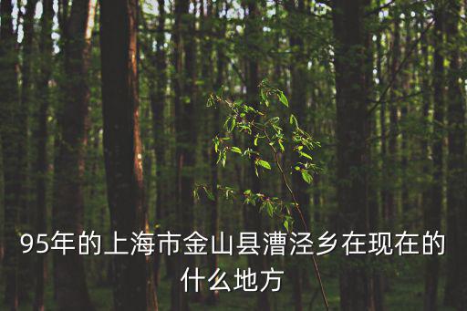 上海市金山縣哪年成立的，上海設(shè)縣的年代是哪年